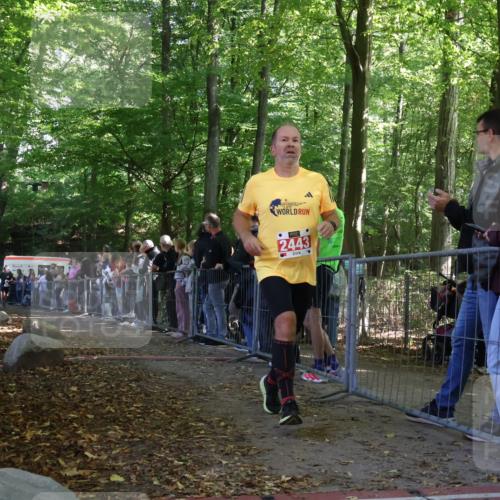 28.09.2025 - 33. Volkslauf durch das schöne Alstertal Strokosch-Dieckow http://msf.ph/oto/8973347 28.09.2025 12:16:14 Ziel 1073, 1732, 2098, 2614 meine-sportfotos.de