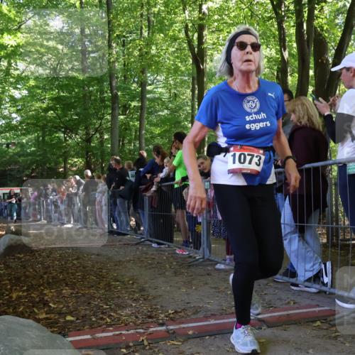 28.09.2025 - 33. Volkslauf durch das schöne Alstertal Strokosch-Dieckow http://msf.ph/oto/8973353 28.09.2025 12:16:26 Ziel 3101 meine-sportfotos.de