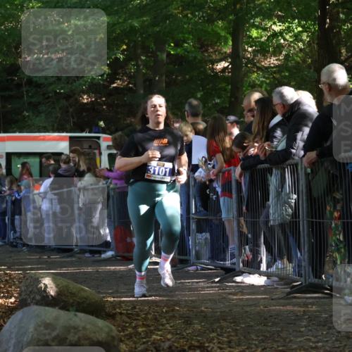 28.09.2025 - 33. Volkslauf durch das schöne Alstertal Strokosch-Dieckow http://msf.ph/oto/8973354 28.09.2025 12:16:29 Ziel 2088, 2477, 3101 meine-sportfotos.de