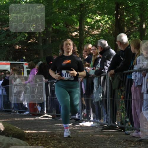 28.09.2025 - 33. Volkslauf durch das schöne Alstertal Strokosch-Dieckow http://msf.ph/oto/8973355 28.09.2025 12:16:29 Ziel 2088, 2477, 3101 meine-sportfotos.de