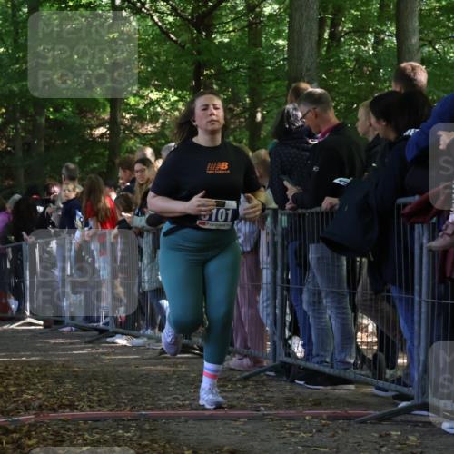 28.09.2025 - 33. Volkslauf durch das schöne Alstertal Strokosch-Dieckow http://msf.ph/oto/8973357 28.09.2025 12:16:30 Ziel 1717, 2088, 2477, 3101 meine-sportfotos.de