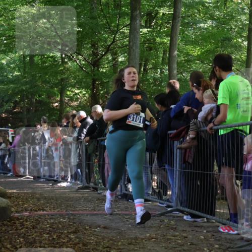 28.09.2025 - 33. Volkslauf durch das schöne Alstertal Strokosch-Dieckow http://msf.ph/oto/8973358 28.09.2025 12:16:31 Ziel 1717, 2088, 2477, 3101 meine-sportfotos.de