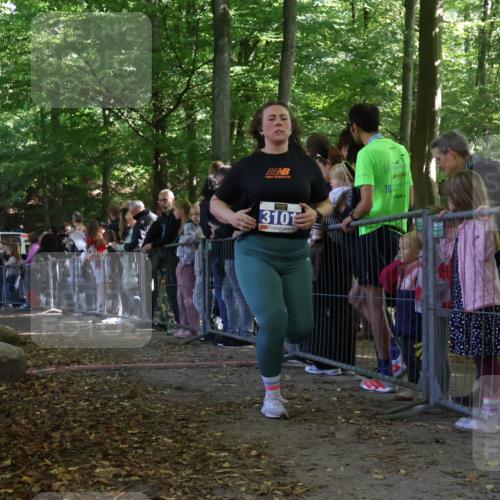 28.09.2025 - 33. Volkslauf durch das schöne Alstertal Strokosch-Dieckow http://msf.ph/oto/8973359 28.09.2025 12:16:31 Ziel 1717, 2088, 2477, 3101 meine-sportfotos.de