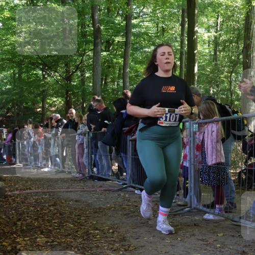 28.09.2025 - 33. Volkslauf durch das schöne Alstertal Strokosch-Dieckow http://msf.ph/oto/8973360 28.09.2025 12:16:32 Ziel 1717, 2088, 2477 meine-sportfotos.de