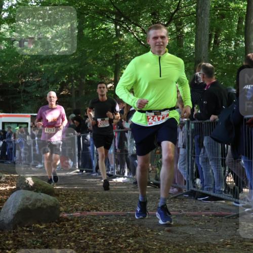 28.09.2025 - 33. Volkslauf durch das schöne Alstertal Strokosch-Dieckow http://msf.ph/oto/8973364 28.09.2025 12:16:37 Ziel 1717, 2088, 2477, 2638 meine-sportfotos.de