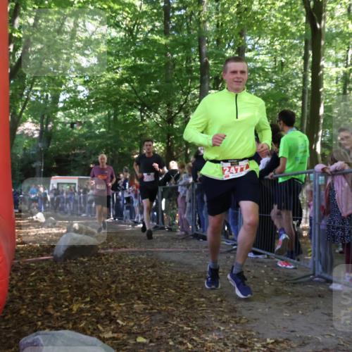 28.09.2025 - 33. Volkslauf durch das schöne Alstertal Strokosch-Dieckow http://msf.ph/oto/8973365 28.09.2025 12:16:38 Ziel 1717, 2088, 2477, 2638 meine-sportfotos.de