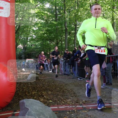 28.09.2025 - 33. Volkslauf durch das schöne Alstertal Strokosch-Dieckow http://msf.ph/oto/8973366 28.09.2025 12:16:38 Ziel 1717, 2088, 2477, 2638 meine-sportfotos.de