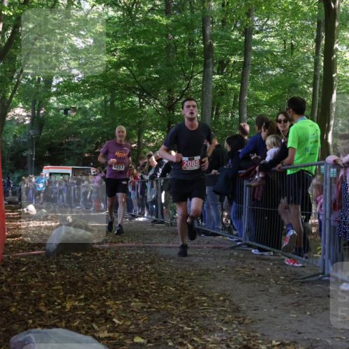 28.09.2025 - 33. Volkslauf durch das schöne Alstertal Strokosch-Dieckow http://msf.ph/oto/8973367 28.09.2025 12:16:39 Ziel 1717, 2088, 2638 meine-sportfotos.de