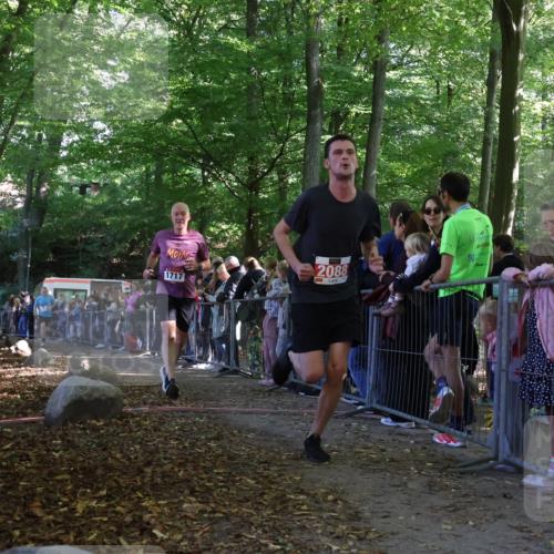 28.09.2025 - 33. Volkslauf durch das schöne Alstertal Strokosch-Dieckow http://msf.ph/oto/8973368 28.09.2025 12:16:39 Ziel 1717, 2088, 2638 meine-sportfotos.de
