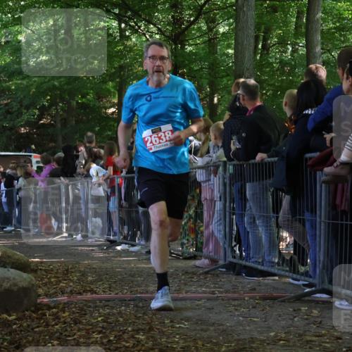 28.09.2025 - 33. Volkslauf durch das schöne Alstertal Strokosch-Dieckow http://msf.ph/oto/8973376 28.09.2025 12:16:45 Ziel 2116, 2117, 2638, 2655 meine-sportfotos.de