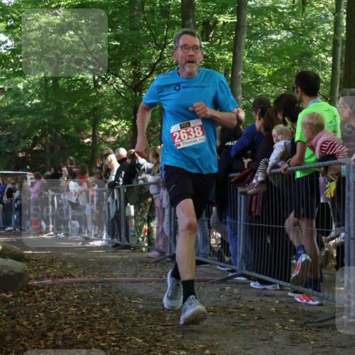 28.09.2025 - 33. Volkslauf durch das schöne Alstertal Strokosch-Dieckow http://msf.ph/oto/8973378 28.09.2025 12:16:45 Ziel 2116, 2117, 2638, 2655 meine-sportfotos.de