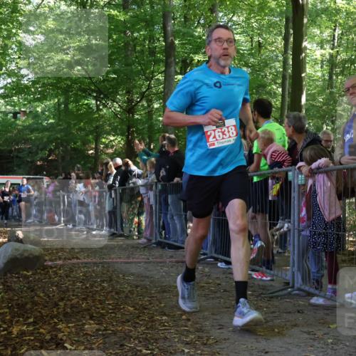 28.09.2025 - 33. Volkslauf durch das schöne Alstertal Strokosch-Dieckow http://msf.ph/oto/8973379 28.09.2025 12:16:46 Ziel 2116, 2117, 2129, 2655 meine-sportfotos.de