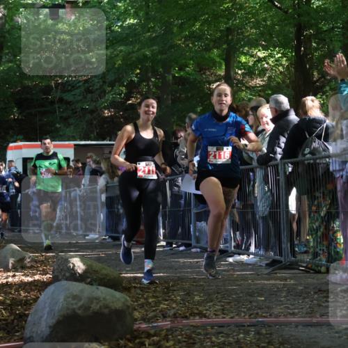 28.09.2025 - 33. Volkslauf durch das schöne Alstertal Strokosch-Dieckow http://msf.ph/oto/8973380 28.09.2025 12:16:49 Ziel 2116, 2117, 2129, 2655 meine-sportfotos.de