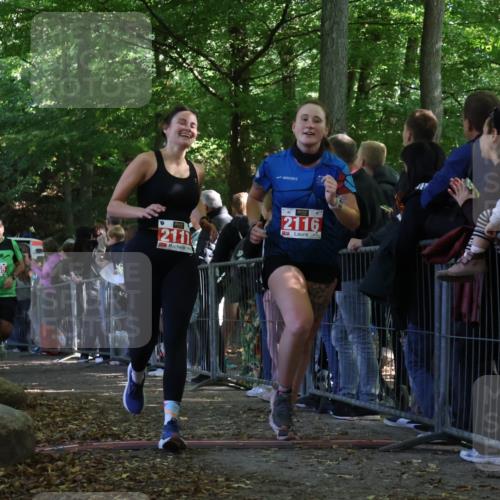 28.09.2025 - 33. Volkslauf durch das schöne Alstertal Strokosch-Dieckow http://msf.ph/oto/8973382 28.09.2025 12:16:51 Ziel 2116, 2117, 2129, 2200, 2466, 2655 meine-sportfotos.de