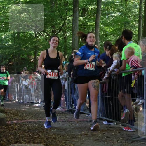 28.09.2025 - 33. Volkslauf durch das schöne Alstertal Strokosch-Dieckow http://msf.ph/oto/8973383 28.09.2025 12:16:51 Ziel 2116, 2117, 2129, 2200, 2466, 2655 meine-sportfotos.de