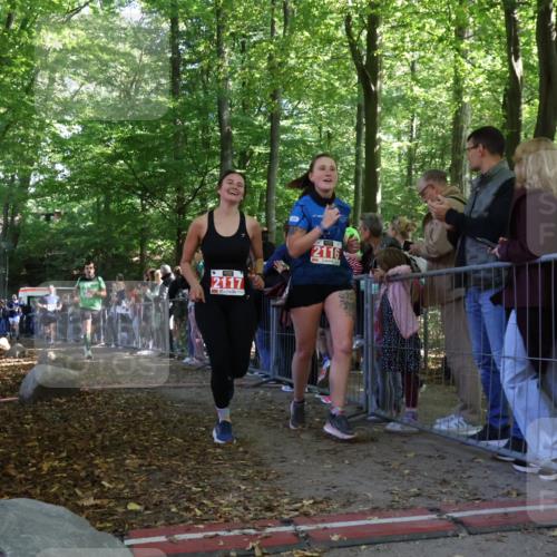 28.09.2025 - 33. Volkslauf durch das schöne Alstertal Strokosch-Dieckow http://msf.ph/oto/8973385 28.09.2025 12:16:52 Ziel 2129, 2200, 2466, 2655 meine-sportfotos.de