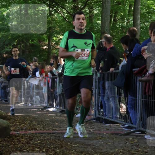 28.09.2025 - 33. Volkslauf durch das schöne Alstertal Strokosch-Dieckow http://msf.ph/oto/8973388 28.09.2025 12:16:54 Ziel 2129, 2200, 2466, 2655 meine-sportfotos.de