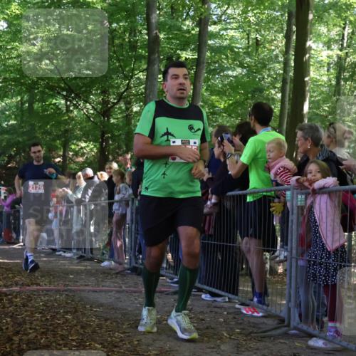 28.09.2025 - 33. Volkslauf durch das schöne Alstertal Strokosch-Dieckow http://msf.ph/oto/8973389 28.09.2025 12:16:55 Ziel 1716, 2129, 2200, 2466, 2634, 2655 meine-sportfotos.de