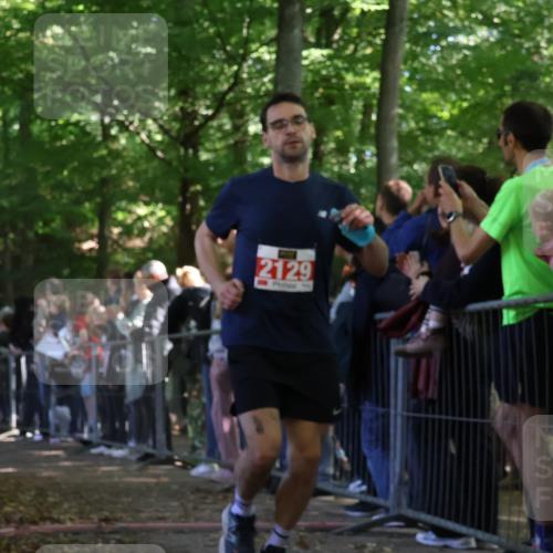 28.09.2025 - 33. Volkslauf durch das schöne Alstertal Strokosch-Dieckow http://msf.ph/oto/8973391 28.09.2025 12:16:56 Ziel 1716, 2129, 2200, 2466, 2634 meine-sportfotos.de