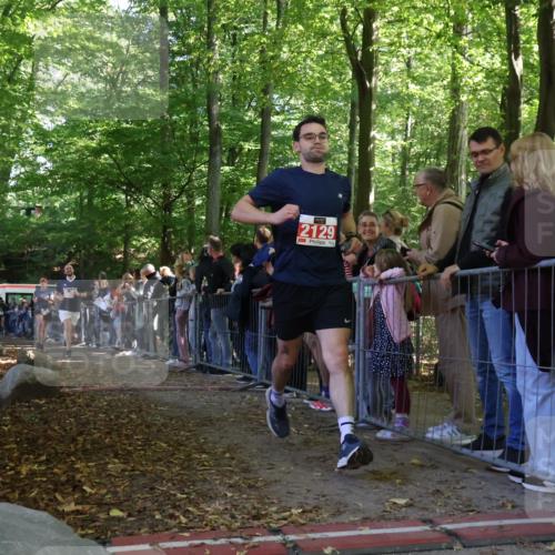 28.09.2025 - 33. Volkslauf durch das schöne Alstertal Strokosch-Dieckow http://msf.ph/oto/8973392 28.09.2025 12:16:57 Ziel 1716, 2200, 2466, 2634 meine-sportfotos.de