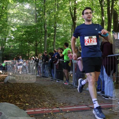 28.09.2025 - 33. Volkslauf durch das schöne Alstertal Strokosch-Dieckow http://msf.ph/oto/8973393 28.09.2025 12:16:57 Ziel 1716, 2200, 2466, 2634 meine-sportfotos.de