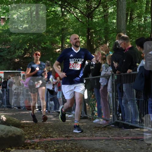 28.09.2025 - 33. Volkslauf durch das schöne Alstertal Strokosch-Dieckow http://msf.ph/oto/8973394 28.09.2025 12:16:58 Ziel 1716, 2200, 2466, 2634 meine-sportfotos.de