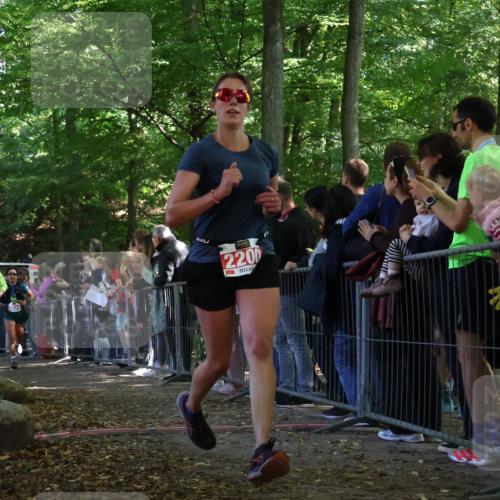 28.09.2025 - 33. Volkslauf durch das schöne Alstertal Strokosch-Dieckow http://msf.ph/oto/8973397 28.09.2025 12:17:01 Ziel 1716, 2029, 2200, 2634 meine-sportfotos.de