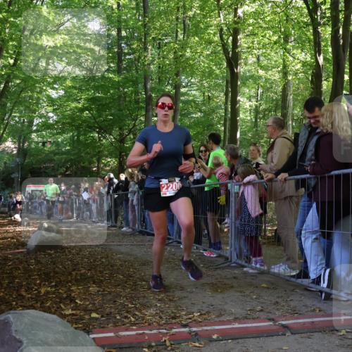 28.09.2025 - 33. Volkslauf durch das schöne Alstertal Strokosch-Dieckow http://msf.ph/oto/8973398 28.09.2025 12:17:01 Ziel 1716, 2029, 2200, 2634 meine-sportfotos.de