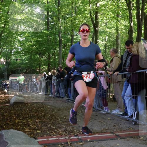 28.09.2025 - 33. Volkslauf durch das schöne Alstertal Strokosch-Dieckow http://msf.ph/oto/8973399 28.09.2025 12:17:01 Ziel 1716, 2029, 2200, 2634 meine-sportfotos.de