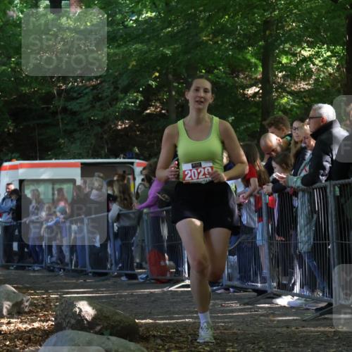 28.09.2025 - 33. Volkslauf durch das schöne Alstertal Strokosch-Dieckow http://msf.ph/oto/8973405 28.09.2025 12:17:07 Ziel 2029 meine-sportfotos.de