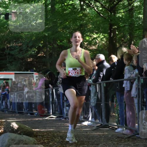 28.09.2025 - 33. Volkslauf durch das schöne Alstertal Strokosch-Dieckow http://msf.ph/oto/8973406 28.09.2025 12:17:08 Ziel 2029, 2212 meine-sportfotos.de