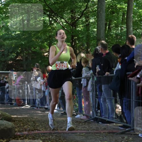 28.09.2025 - 33. Volkslauf durch das schöne Alstertal Strokosch-Dieckow http://msf.ph/oto/8973407 28.09.2025 12:17:08 Ziel 2029, 2212 meine-sportfotos.de