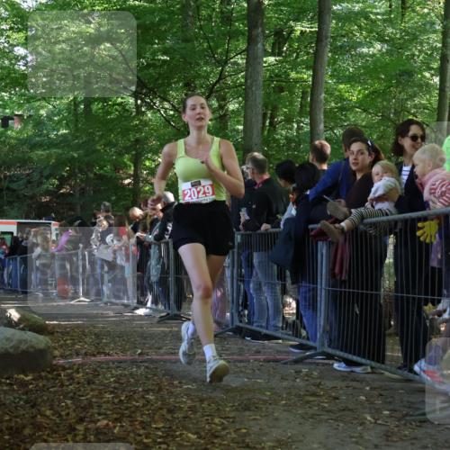 28.09.2025 - 33. Volkslauf durch das schöne Alstertal Strokosch-Dieckow http://msf.ph/oto/8973408 28.09.2025 12:17:08 Ziel 2029, 2212 meine-sportfotos.de