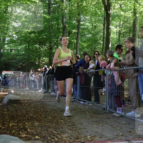 28.09.2025 - 33. Volkslauf durch das schöne Alstertal Strokosch-Dieckow http://msf.ph/oto/8973409 28.09.2025 12:17:09 Ziel 2029, 2212 meine-sportfotos.de