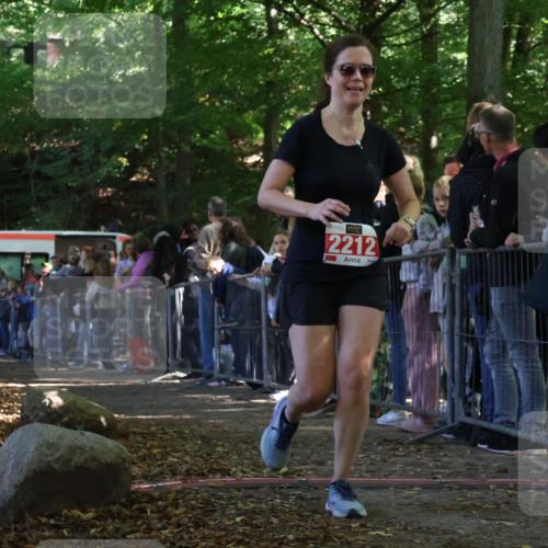 28.09.2025 - 33. Volkslauf durch das schöne Alstertal Strokosch-Dieckow http://msf.ph/oto/8973411 28.09.2025 12:17:17 Ziel 2212, 2653 meine-sportfotos.de