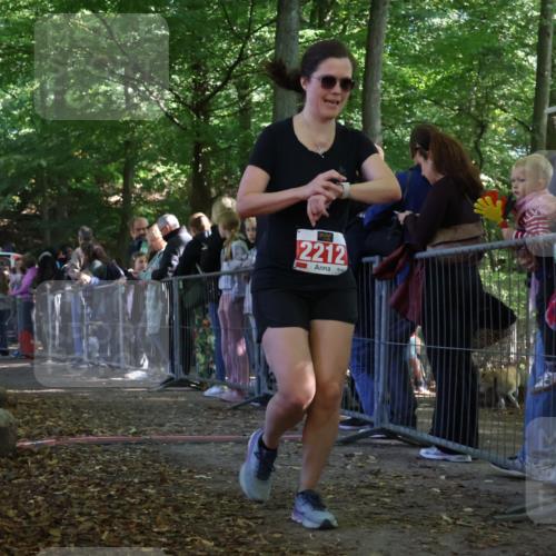 28.09.2025 - 33. Volkslauf durch das schöne Alstertal Strokosch-Dieckow http://msf.ph/oto/8973412 28.09.2025 12:17:18 Ziel 2212, 2653 meine-sportfotos.de