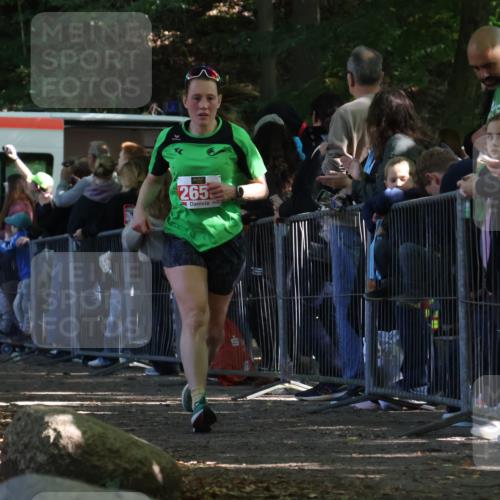 28.09.2025 - 33. Volkslauf durch das schöne Alstertal Strokosch-Dieckow http://msf.ph/oto/8973414 28.09.2025 12:17:21 Ziel 2653 meine-sportfotos.de