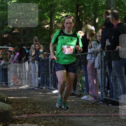 28.09.2025 - 33. Volkslauf durch das schöne Alstertal Strokosch-Dieckow http://msf.ph/oto/8973418 28.09.2025 12:17:24 Ziel 1122, 2653 meine-sportfotos.de