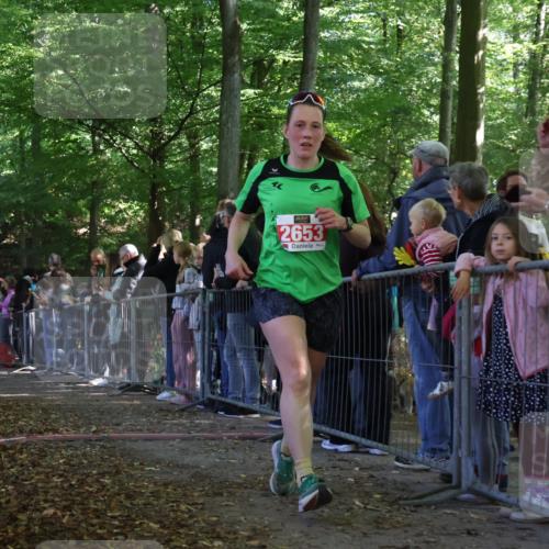 28.09.2025 - 33. Volkslauf durch das schöne Alstertal Strokosch-Dieckow http://msf.ph/oto/8973420 28.09.2025 12:17:25 Ziel 1122, 2243, 2536, 2653 meine-sportfotos.de