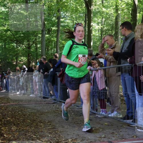 28.09.2025 - 33. Volkslauf durch das schöne Alstertal Strokosch-Dieckow http://msf.ph/oto/8973421 28.09.2025 12:17:26 Ziel 1122, 2243, 2536 meine-sportfotos.de