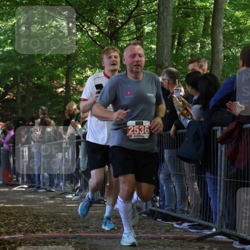 28.09.2025 - 33. Volkslauf durch das schöne Alstertal Strokosch-Dieckow http://msf.ph/oto/8973428 28.09.2025 12:17:35 Ziel 2156, 2243, 2536 meine-sportfotos.de