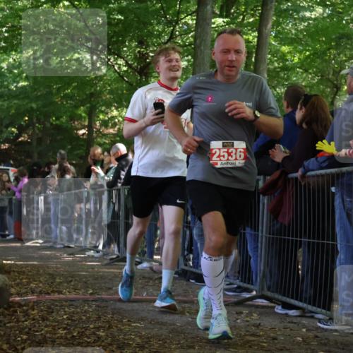28.09.2025 - 33. Volkslauf durch das schöne Alstertal Strokosch-Dieckow http://msf.ph/oto/8973429 28.09.2025 12:17:35 Ziel 2156, 2243, 2536 meine-sportfotos.de