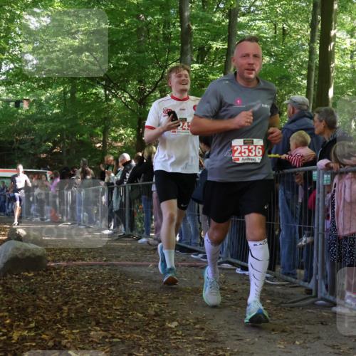 28.09.2025 - 33. Volkslauf durch das schöne Alstertal Strokosch-Dieckow http://msf.ph/oto/8973430 28.09.2025 12:17:36 Ziel 2156, 2601 meine-sportfotos.de