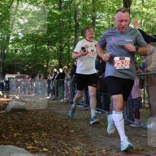 28.09.2025 - 33. Volkslauf durch das schöne Alstertal Strokosch-Dieckow http://msf.ph/oto/8973431 28.09.2025 12:17:36 Ziel 2156, 2601 meine-sportfotos.de