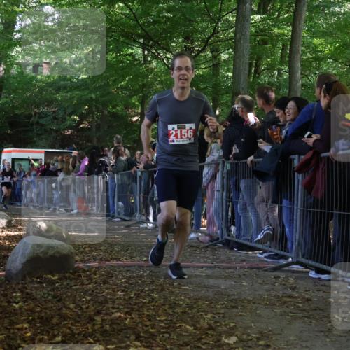 28.09.2025 - 33. Volkslauf durch das schöne Alstertal Strokosch-Dieckow http://msf.ph/oto/8973435 28.09.2025 12:17:40 Ziel 2156, 2601 meine-sportfotos.de