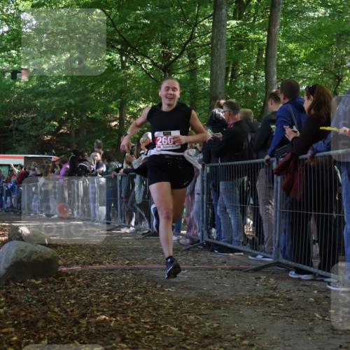 28.09.2025 - 33. Volkslauf durch das schöne Alstertal Strokosch-Dieckow http://msf.ph/oto/8973438 28.09.2025 12:17:46 Ziel 2174, 2601 meine-sportfotos.de