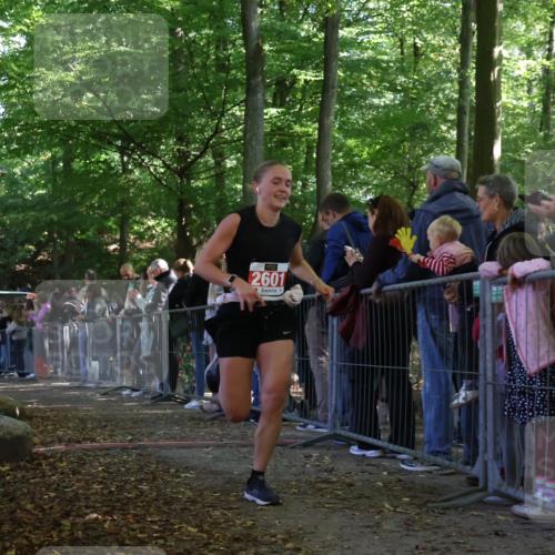 28.09.2025 - 33. Volkslauf durch das schöne Alstertal Strokosch-Dieckow http://msf.ph/oto/8973439 28.09.2025 12:17:47 Ziel 1091, 2174 meine-sportfotos.de