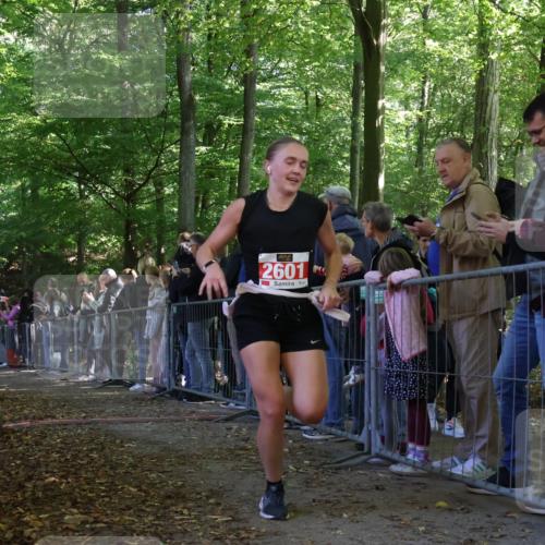 28.09.2025 - 33. Volkslauf durch das schöne Alstertal Strokosch-Dieckow http://msf.ph/oto/8973440 28.09.2025 12:17:47 Ziel 1091, 2174 meine-sportfotos.de