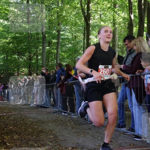 28.09.2025 - 33. Volkslauf durch das schöne Alstertal Strokosch-Dieckow http://msf.ph/oto/8973441 28.09.2025 12:17:47 Ziel 1091, 2174 meine-sportfotos.de
