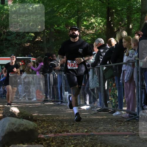 28.09.2025 - 33. Volkslauf durch das schöne Alstertal Strokosch-Dieckow http://msf.ph/oto/8973443 28.09.2025 12:17:52 Ziel 1091, 1740, 2174 meine-sportfotos.de